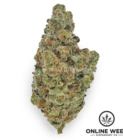 Biscotti Gelato (Premium Bud)