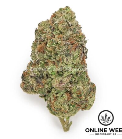 Blue Gelato (Value Bud)