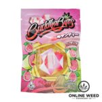Buddha Bites THC Infused Gummies 600mg - Guava