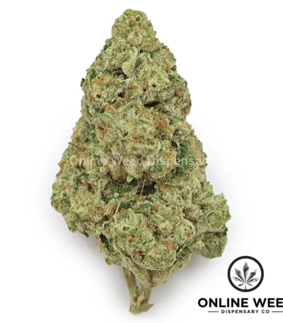 E85 (Value Bud)