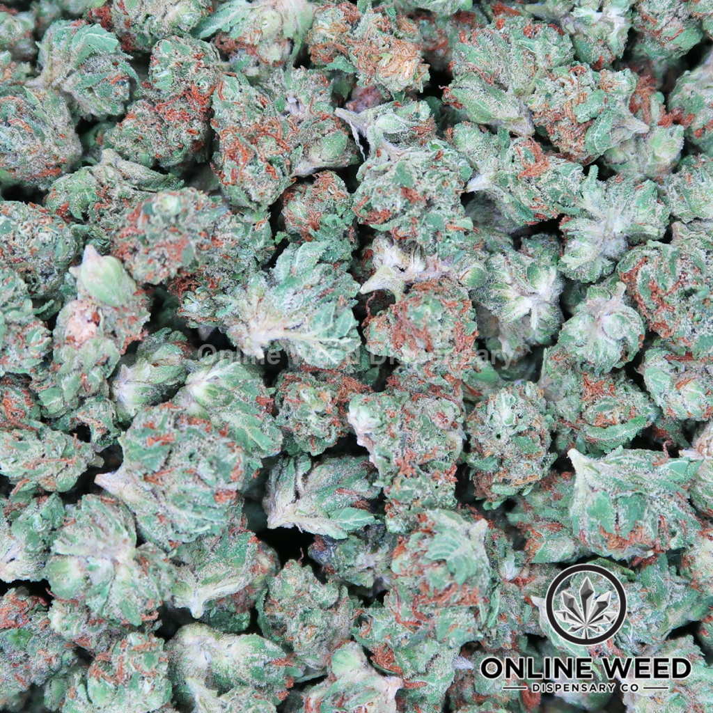 Gelato 33 (Small Buds) 🔥 OZ Only Deal 🔥