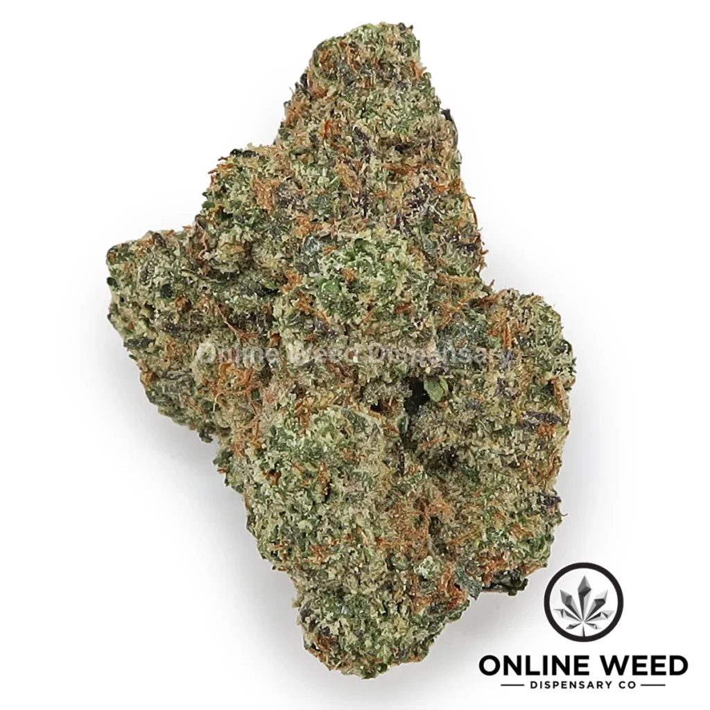 Lemon Cherry Sherb (Value Plus+ Bud)
