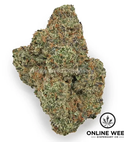 Lemon Cherry Sherb (Value Plus+ Bud)
