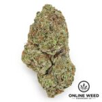 Pink Lemonade (Value Plus+ Bud)