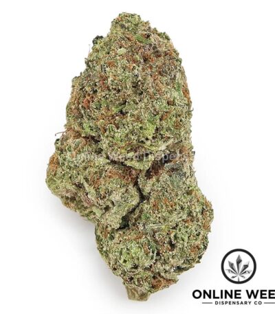 Pink Lemonade (Value Plus+ Bud)