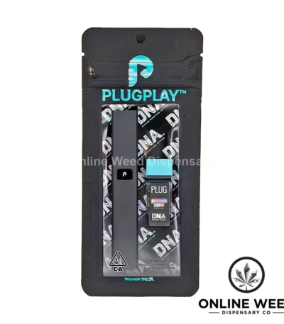 PlugPlay All-In-One Starter Kit - Northern Lights