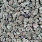 RS-11 (Micro Buds) OZ Only Deal  
