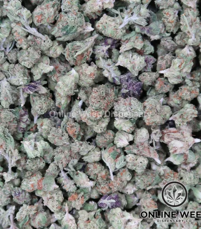 RS-11 (Micro Buds) OZ Only Deal  