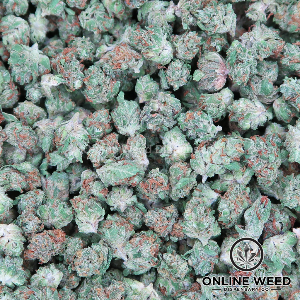 tropical gelato strain​