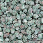 tropical gelato strain​