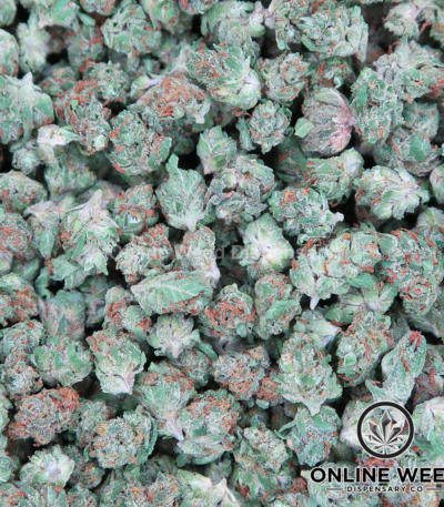 tropical gelato strain​