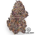 Purple Runts (EXOTIC Private Reserve)💎🔥