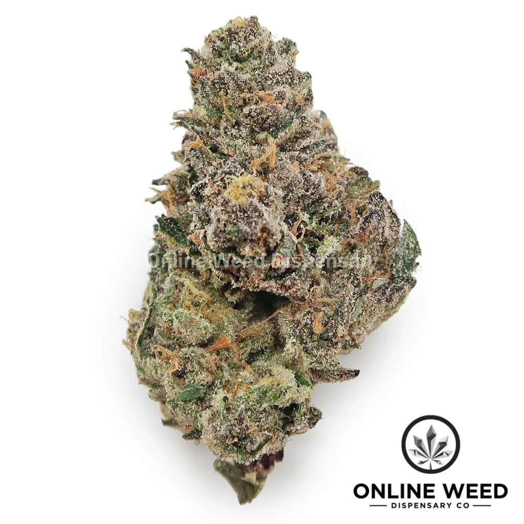 Mochi strain