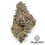 Mochi strain