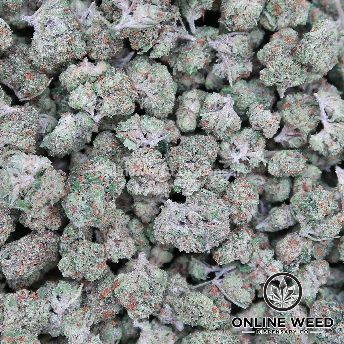 Sherbet-Value-Smalls Sherbert (Small Buds) Oz Only Deal - Image 1