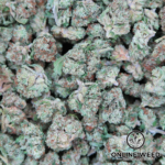 Jokerz (Small Buds) 🔥 OZ Only Deal 🔥