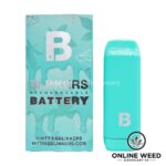 Blinkers Rechargeable Battery- Turquoise