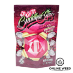 Buddha Bites THC Infused Gummies 600mg - Dragon Fruit