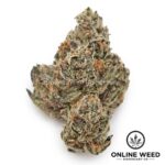 bubblegum gelato strain