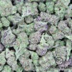 Tropicanna Cherry (Small Buds)