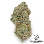 Sugar Mama (Top Shelf)