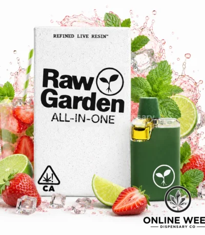 Raw Garden 1g Live Resin Disposable Vape - Strawberry Lime Mojito